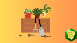 Drawing of a shovel, pitchfork,and plants on a wooden fence