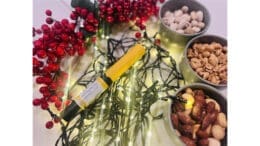 Various foods with an EpiPen