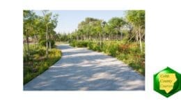 A sidewalk curving among trees